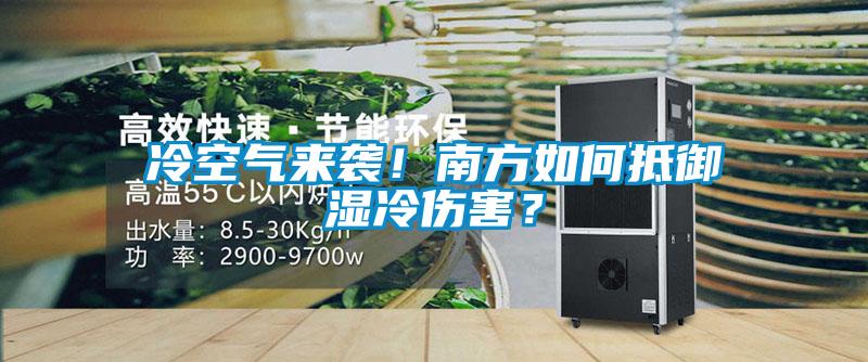 冷空气来袭！南方如何抵御湿冷伤害？
