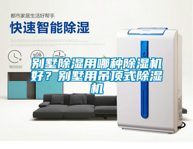 别墅除湿用哪种芭乐APP下载官网入口新版好？别墅用吊顶式芭乐APP下载官网入口新版