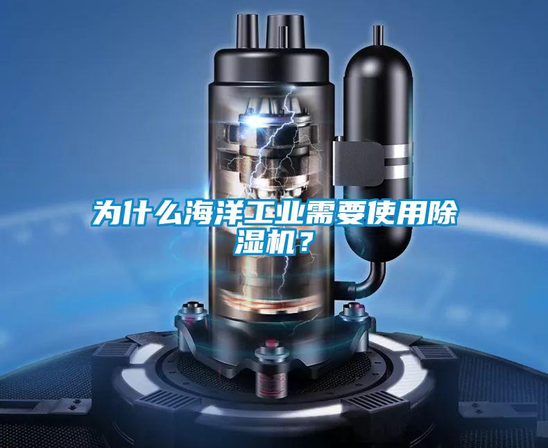 为什么海洋工业需要使用芭乐APP下载官网入口新版？