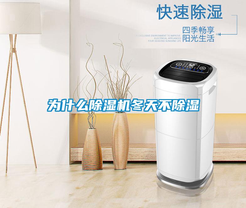 为什么芭乐APP下载官网入口新版冬天不除湿