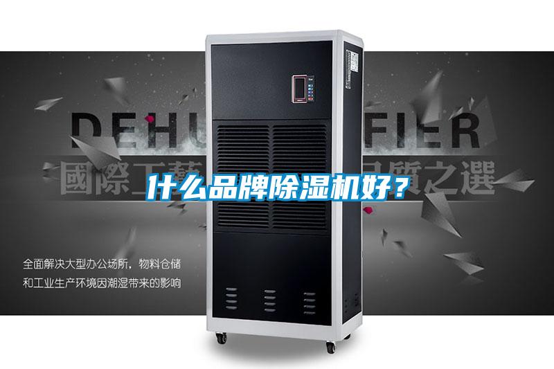 什么品牌芭乐APP下载官网入口新版好？