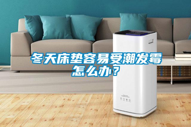 冬天床垫容易受潮发霉怎么办？