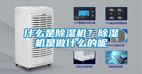什么是芭乐APP下载官网入口新版？芭乐APP下载官网入口新版是做什么的呢