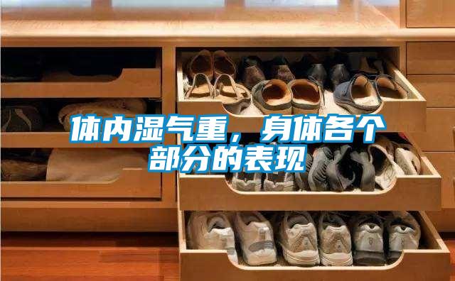 体内湿气重，身体各个部分的表现
