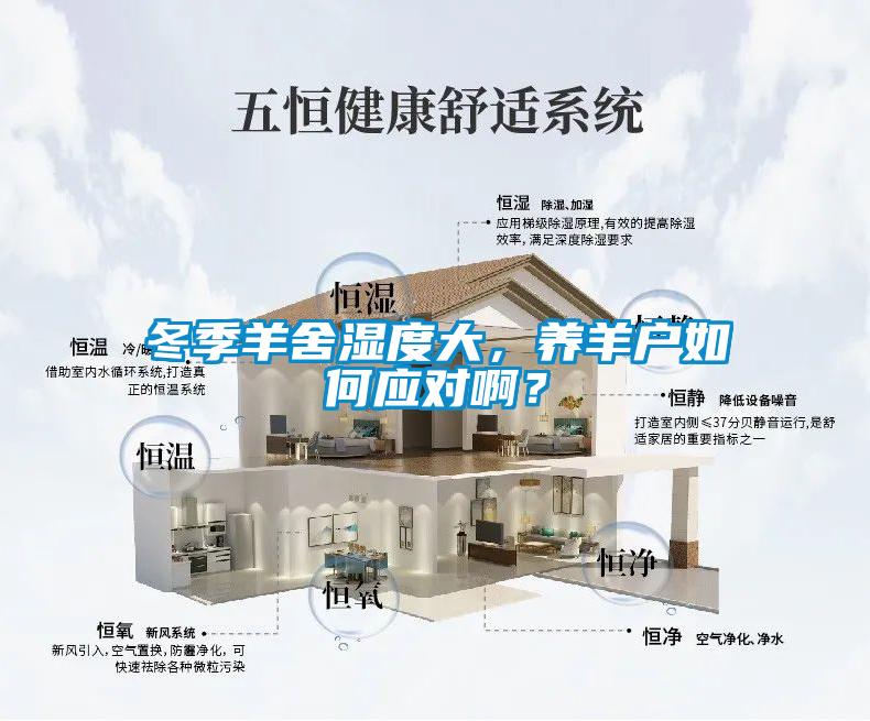 冬季羊舍湿度大，养羊户如何应对啊？