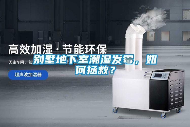 别墅地下室潮湿发霉，如何拯救？