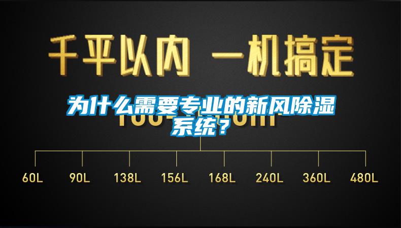 为什么需要专业的新风除湿系统？