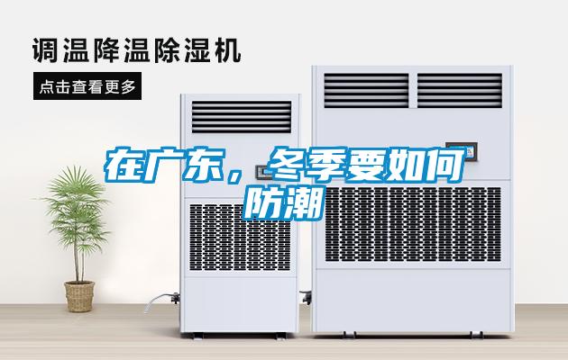 在广东，冬季要如何防潮