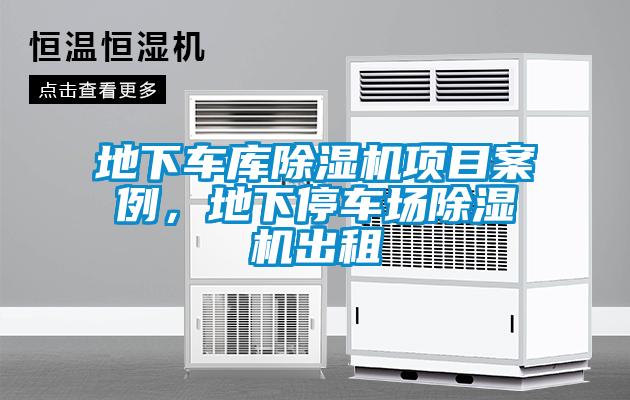 地下车库芭乐APP下载官网入口新版项目案例，地下停车场芭乐APP下载官网入口新版出租