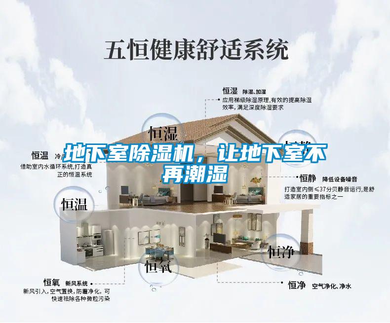 地下室芭乐APP下载官网入口新版，让地下室不再潮湿