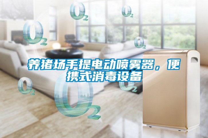 养猪场手提电动喷雾器，便携式消毒设备