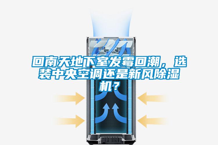 回南天地下室发霉回潮，选装中央空调还是新风芭乐APP下载官网入口新版？