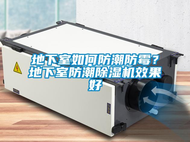 地下室如何防潮防霉？地下室防潮芭乐APP下载官网入口新版效果好