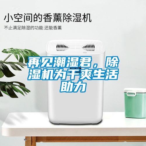 再见潮湿君，芭乐APP下载官网入口新版为干爽生活助力