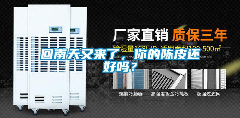 回南天又来了，你的陈皮还好吗？