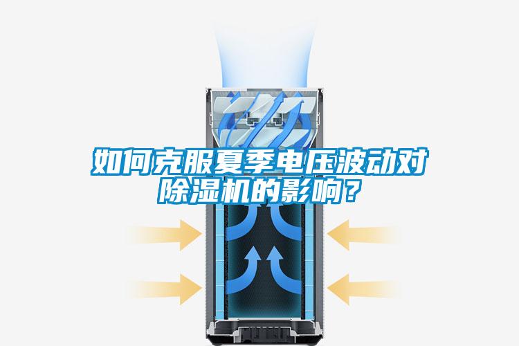 如何克服夏季电压波动对芭乐APP下载官网入口新版的影响？