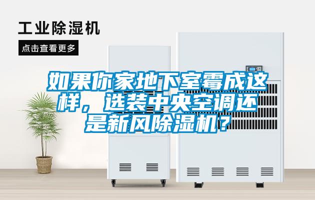 如果你家地下室霉成这样，选装中央空调还是新风芭乐APP下载官网入口新版？
