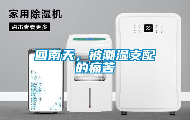 回南天，被潮湿支配的痛苦