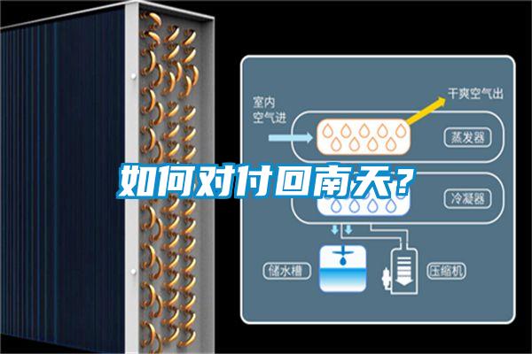 如何对付回南天？