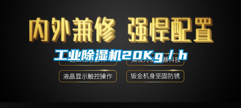 工业芭乐APP下载官网入口新版20Kg／h