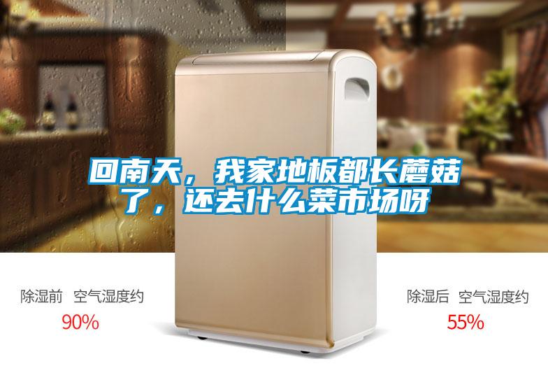 回南天，我家地板都长蘑菇了，还去什么菜市场呀