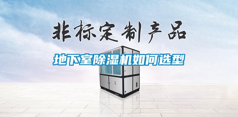地下室芭乐APP下载官网入口新版如何选型