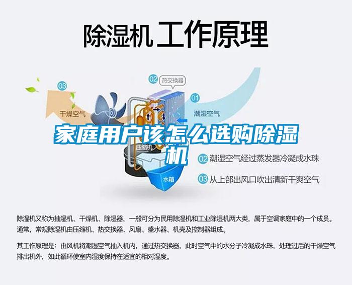 家庭用户该怎么选购芭乐APP下载官网入口新版