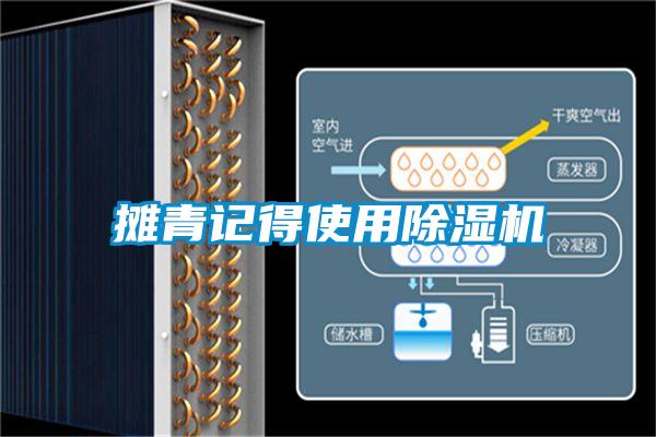 摊青记得使用芭乐APP下载官网入口新版