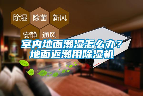 室内地面潮湿怎么办？地面返潮用芭乐APP下载官网入口新版