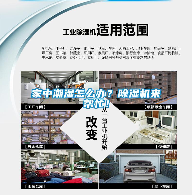 家中潮湿怎么办？芭乐APP下载官网入口新版来帮忙！