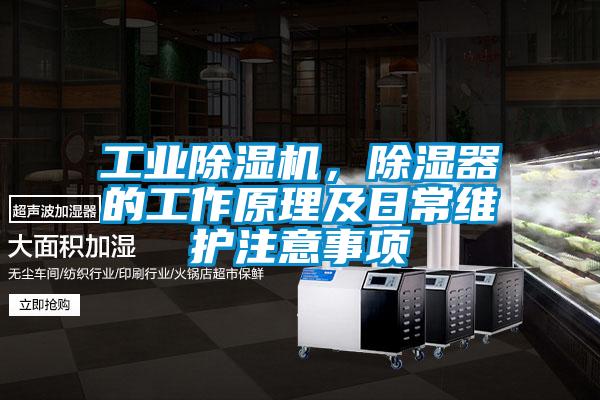 工业芭乐APP下载官网入口新版，除湿器的工作原理及日常维护注意事项