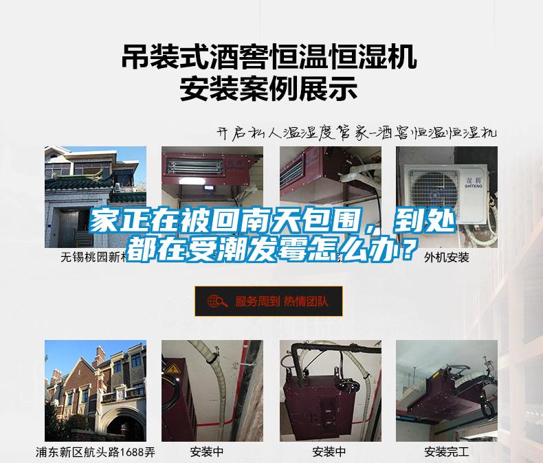 家正在被回南天包围，到处都在受潮发霉怎么办？