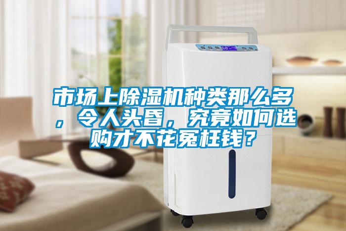 市场上芭乐APP下载官网入口新版种类那么多，令人头昏，究竟如何选购才不花冤枉钱？