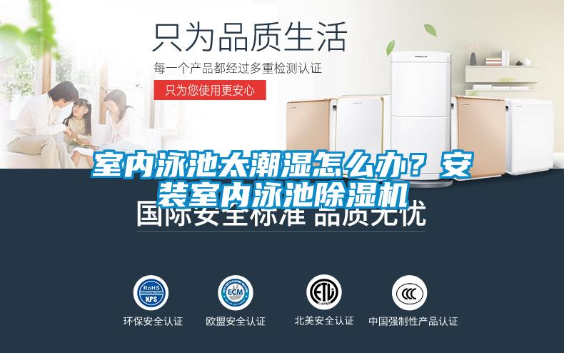 室内泳池太潮湿怎么办？安装室内泳池芭乐APP下载官网入口新版