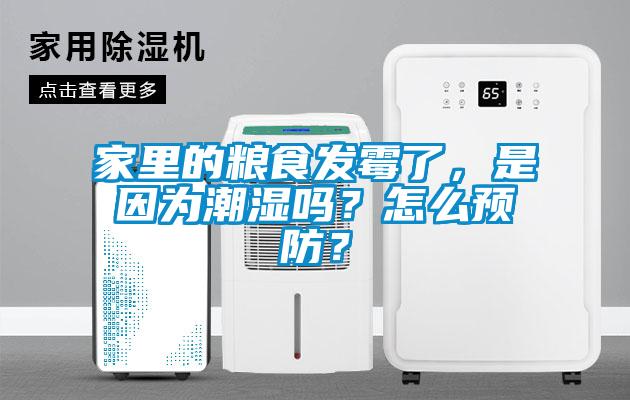 家里的粮食发霉了，是因为潮湿吗？怎么预防？