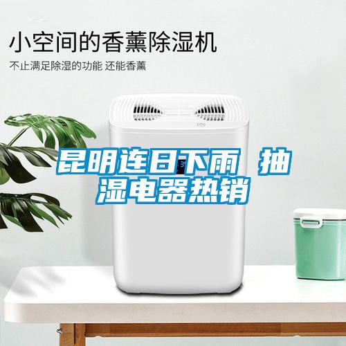 昆明连日下雨 抽湿电器热销