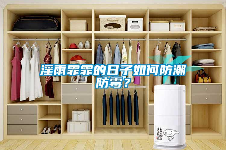 淫雨霏霏的日子如何防潮防霉？