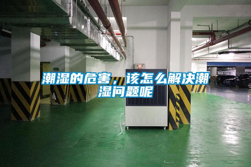 潮湿的危害，该怎么解决潮湿问题呢