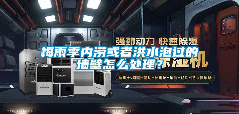 梅雨季内涝或者洪水泡过的墙壁怎么处理？