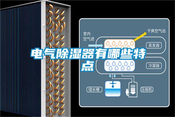 电气除湿器有哪些特点
