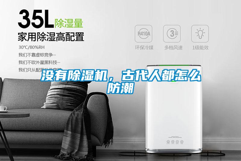 没有芭乐APP下载官网入口新版，古代人都怎么防潮