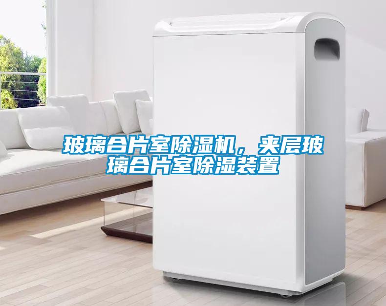 玻璃合片室芭乐APP下载官网入口新版，夹层玻璃合片室除湿装置