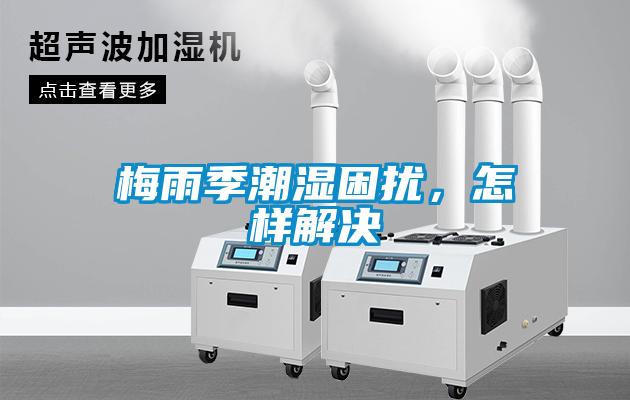 梅雨季潮湿困扰，怎样解决