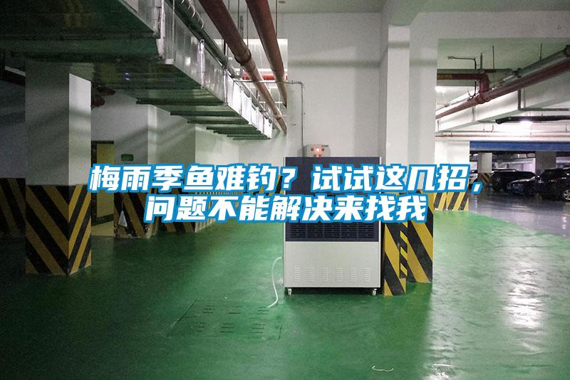 梅雨季鱼难钓？试试这几招，问题不能解决来找我