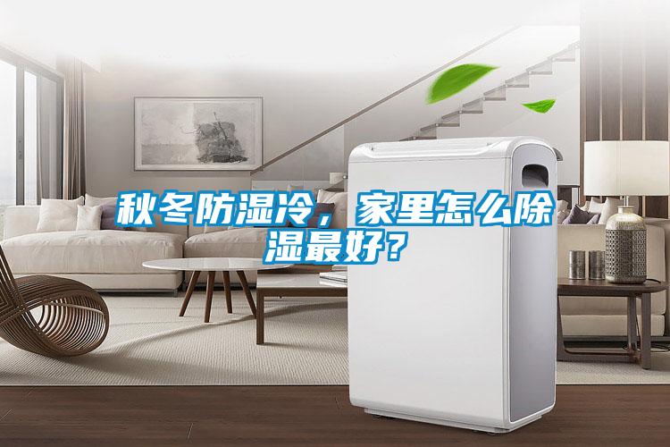 秋冬防湿冷，家里怎么除湿最好？
