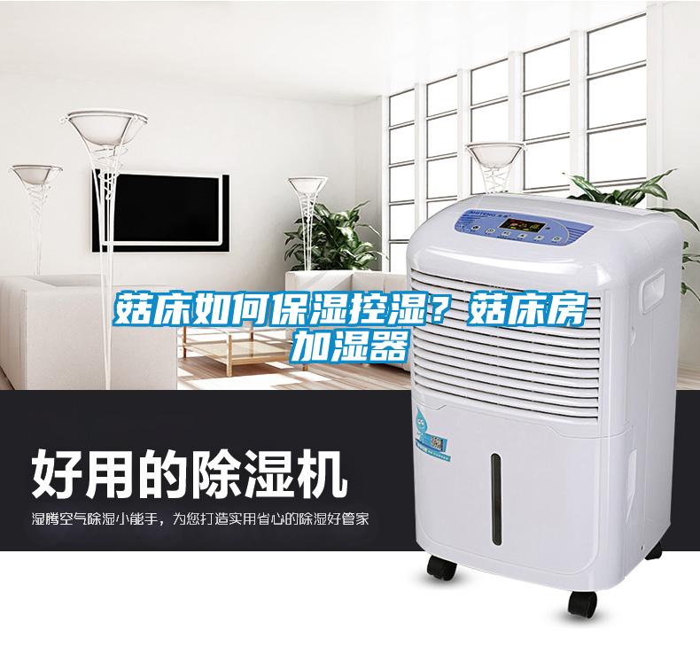 菇床如何保湿控湿？菇床房加湿器