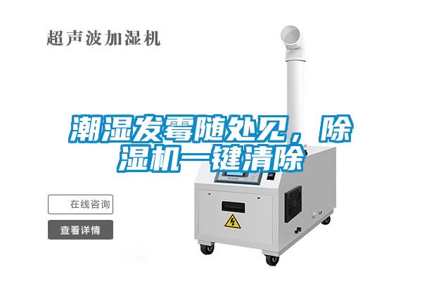 潮湿发霉随处见，芭乐APP下载官网入口新版一键清除