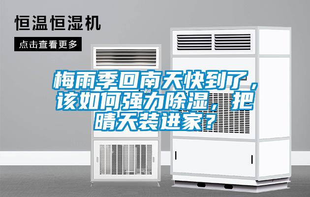 梅雨季回南天快到了，该如何强力除湿，把晴天装进家？