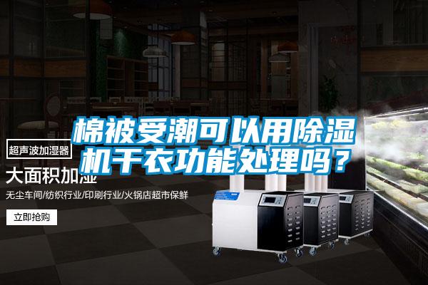 棉被受潮可以用芭乐APP下载官网入口新版干衣功能处理吗？