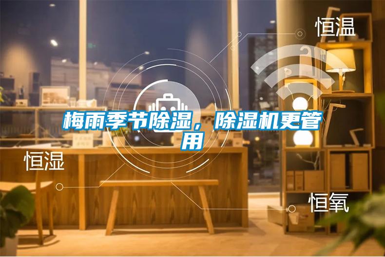 梅雨季节除湿，芭乐APP下载官网入口新版更管用